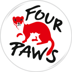 Four paws logo